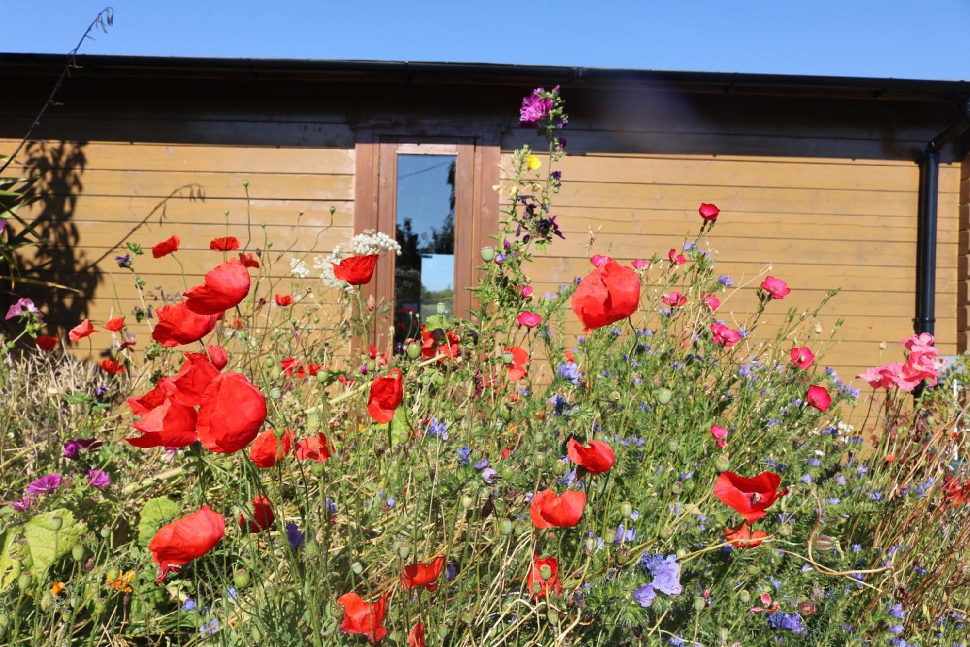 The Cabin Pipershill Newtownbutler Exteriér fotografie